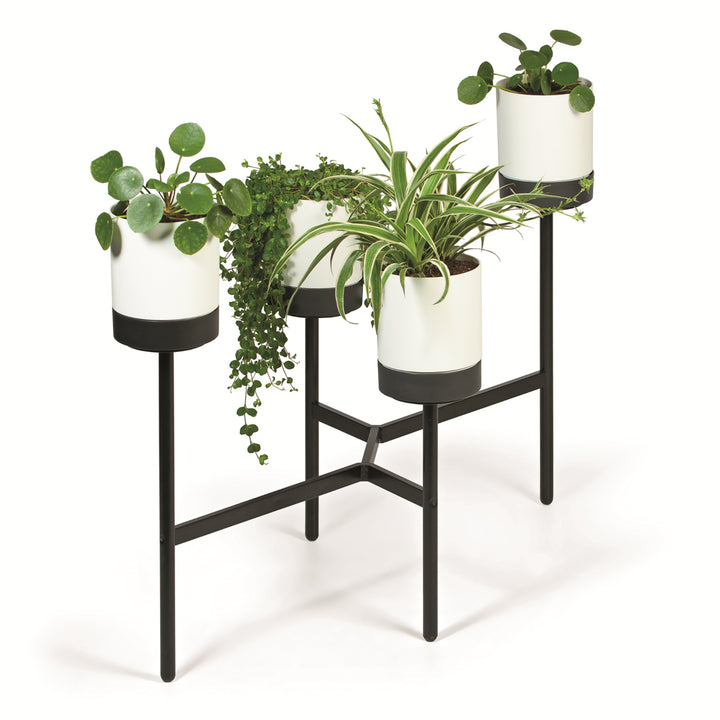 Prosperplast Bloomie Stand Four Legged Flower Stand with 4 Pots Plant Stand Flower Pot 125x55x81,5cm Metal Frame Concrete