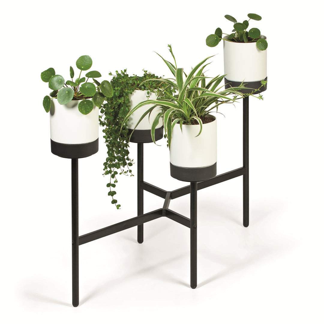 Prosperplast Bloomie Stand Four Legged Flower Stand with 4 Pots Plant Stand Flower Pot 125x55x81,5cm Metal Frame White