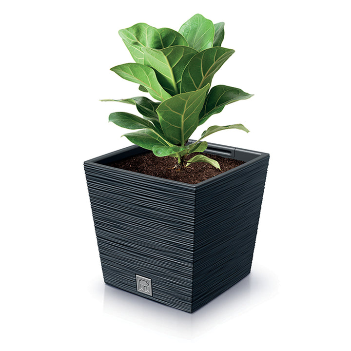 Prosperplast Furu Square Low Flower Pot Insert Planter 7.5L / 10L Decorative Square Indoor Outdoor