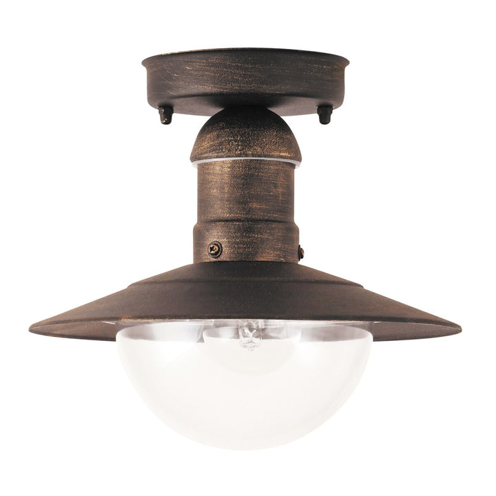 RABALUX OSLO 8736 OUTDOOR METAL CEILING LAMP