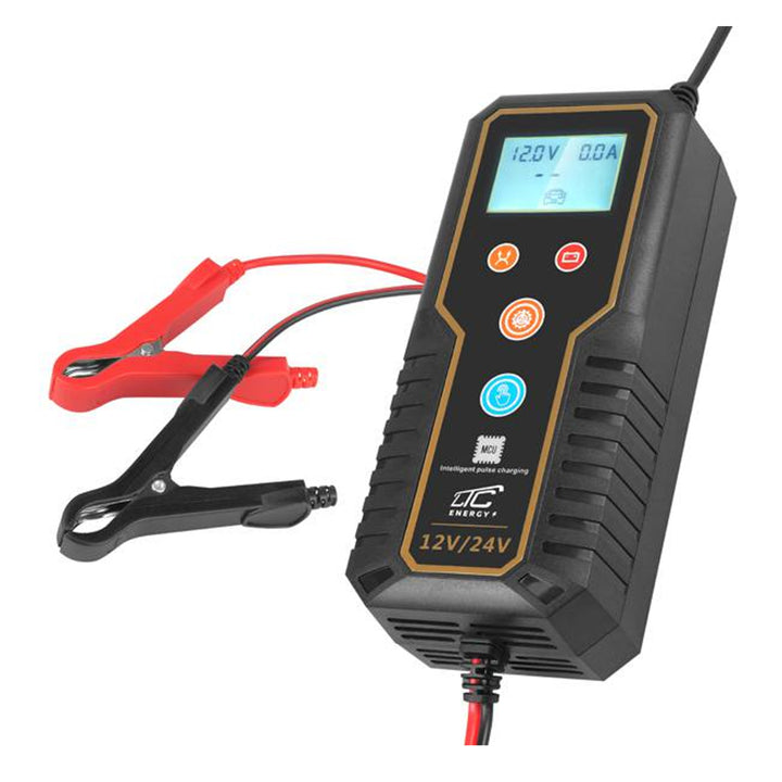 Luchtaire Ceallraí Gluaisteáin Deisiú Pulse 12V 24V AGM Glóthach Rialú Micreaphróiseálaí Uilíoch 2Ah - 150Ah