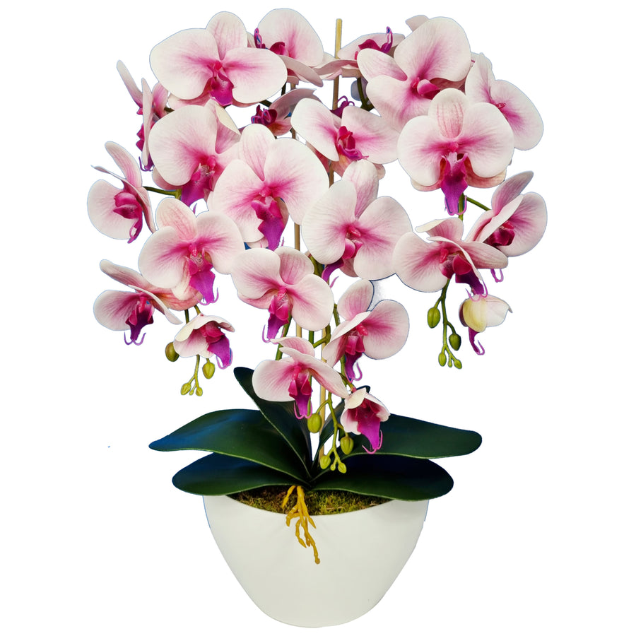 Damich Artificial Orchid in a Flower Pot Plant Artificial Flower Decoration 3-flowering Branches Height About 60cm Pink