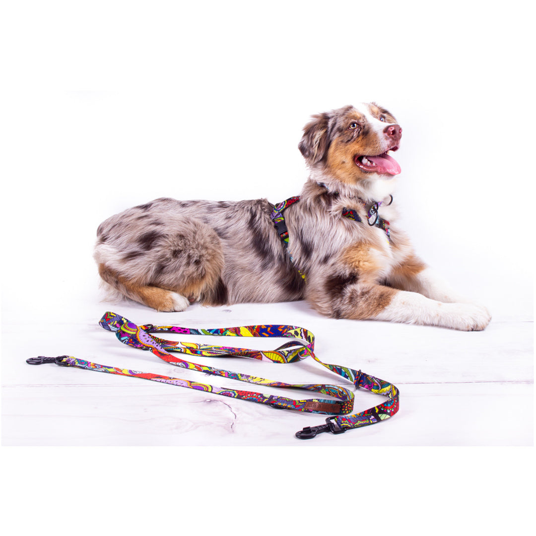 Zdolne Bestie  Webbing Intertwining Leash for Dog Adjustable Lead Miracles on a Stick XXL length 300cm width 2cm.