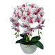 Damich Artificial Butterfly Orchid in Flower Pot Plant Planter Decoration 3 Flowering Branches 60cm White Red Real Look