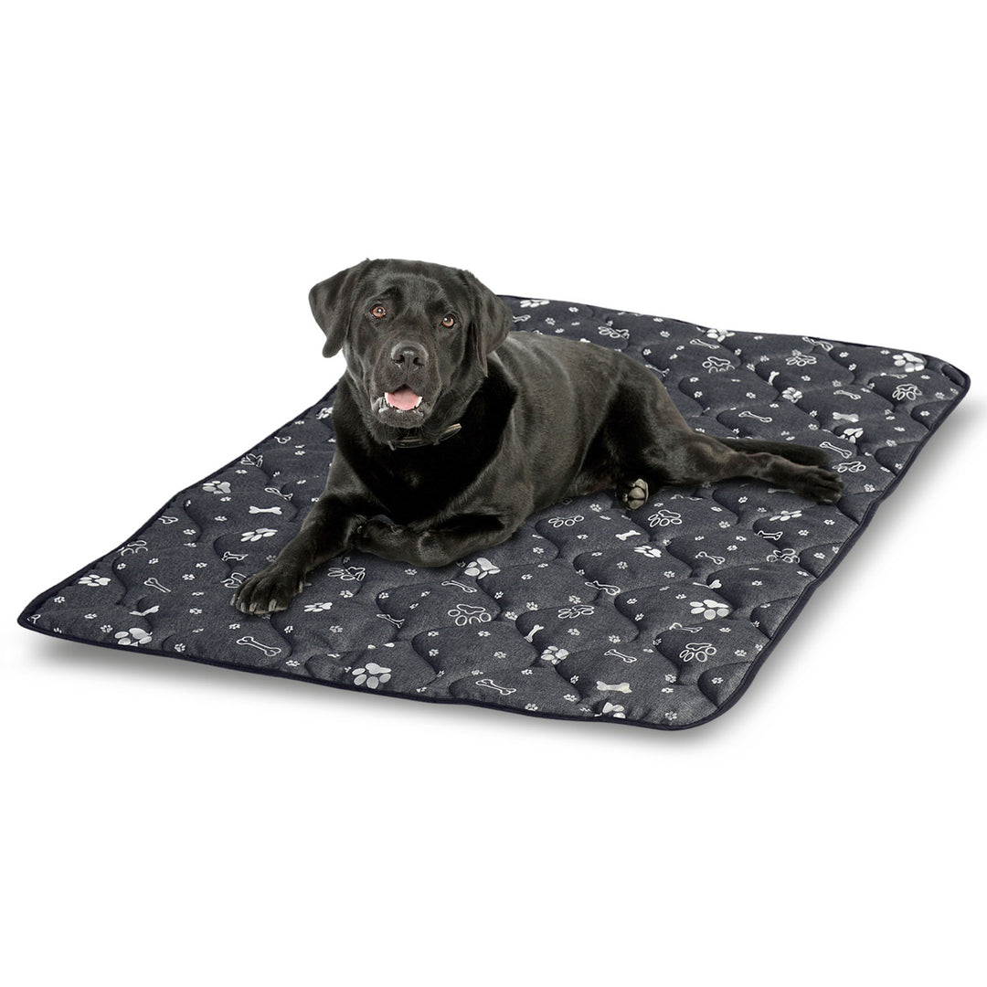 KingDog Prestige Dog Bed Dog Mat Durable Waterproof Dog Mattress (120 x 80 cm, Silver Bone)