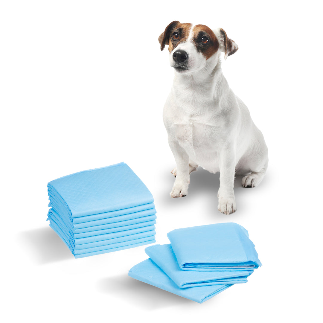 GreenBlue GB495 Dog Cat Sanitary Pads Mats for Pets Potty Training Pads Disposable Training Pads 60x40cm 200 pcs.