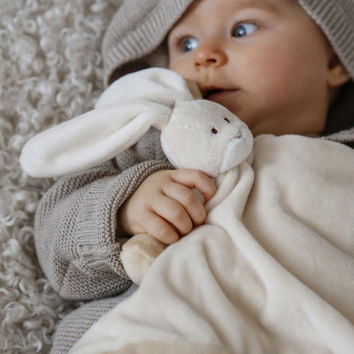 Diinglisar cuddle-blanket, soft materials, cream hare, 35 cm, T-TED-01372 2