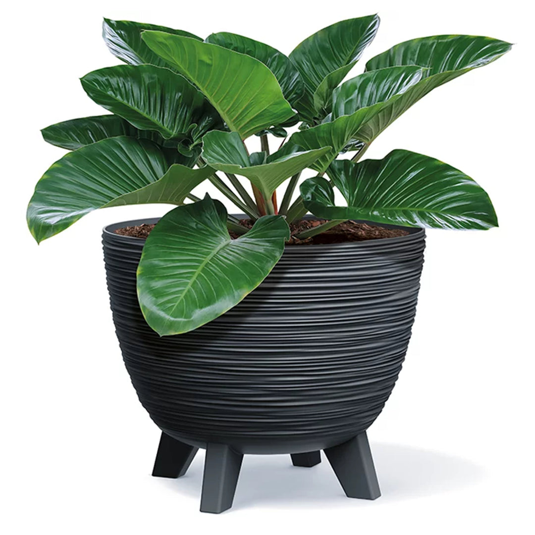 Prosperplast Flower Pot Planter with Legs 9.5L UV-resistant