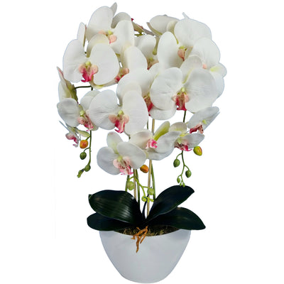 Damich artificial orchid, white, pink heart, made of rubber, 3pgb2